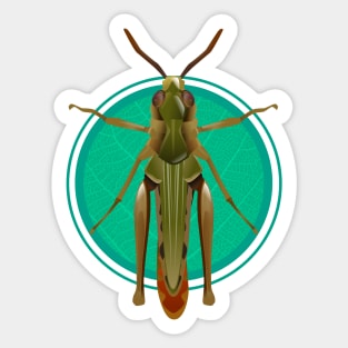 grasshopper Sticker